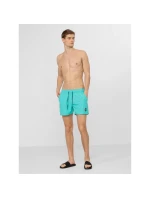 Pánské boardshortky 4F 4FWSS24UBDSM123-32S