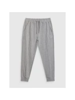 Pánské tepláky typu jogger 4F 4FRAW25TTROM1671-27M Pánské tepláky typu jogger 4F 4FRAW25TTROM1671-27M