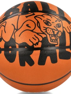 Nike Playground Outdoor Basketball 100 4371 811 05