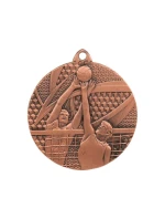bronzová medaile - volejbal