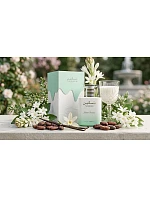 Dámské parfémy Paris Corner Taskeen Lactea Divina 100 ml Dámské parfémy Paris Corner Taskeen Lactea Divina 100 ml