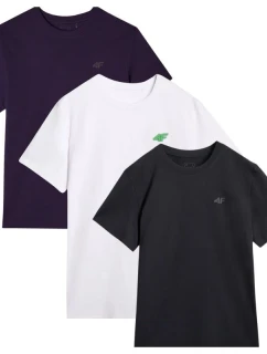 Trička 4F M 4FWSS25TTSHM3965-95S pánské