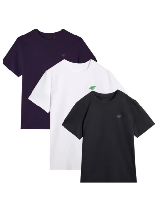 Trička 4F M 4FWSS25TTSHM3965-95S pánské