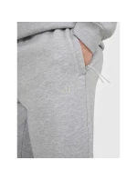 Pánské tepláky typu jogger 4F 4FRAW25TTROM1832-27M