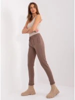 Tepláky RV DR 8692.21 hnědá Tepláky RV DR 8692.21 hnědá