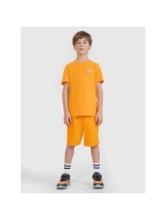 Chlapecké tričko s potiskem 4F 4FJRSS25TTSHM2642-70S