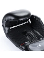 Boxerské rukavice 10oz - Eclipse - Origin Series