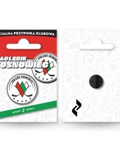 Zagłębie Sosnowiec Herb Classic SREB-ZS-PIN pin