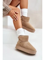 Dámské Semišové Sněhule Na Platformě Nad Kotníky Béžové Rianaella