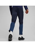 Puma Team Goal Training M kalhoty 658639 06