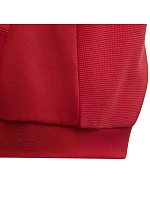 Dětská mikina adidas Tiro 23 Competition Hoodie červená HI3052