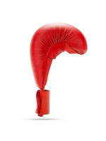 Karate rukavice WKF - nosítka | XL Karate rukavice WKF - nosítka | XL