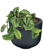 MILLY FLOWER POND 24CM SVÍČKA DIAMOND