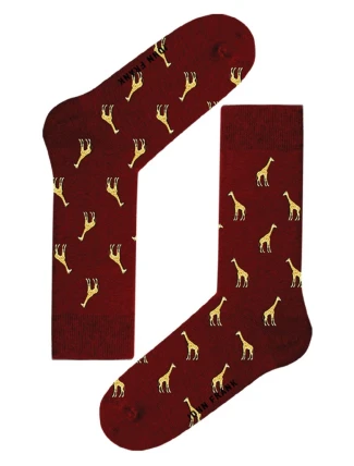 Pánské ponožky John Frank JFLSCOOL52 Pánské ponožky John Frank JFLSCOOL52