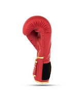 Dámské boxerské rukavice - Rubby Rose | DBX Bushido 12 oz dámské Dámské boxerské rukavice - Rubby Rose | DBX Bushido 12 oz dámské