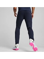 Pánské kalhoty Puma Team Goal Slim Training navy blue 659037 06