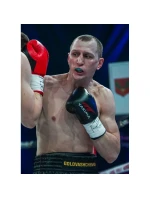 Wolf L 8 oz rukavice 1005228OZ - Yakimasport