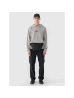 Pánská nepromokavá mikina s kapucí 4F 4FRAW24TSWSM1816-25S