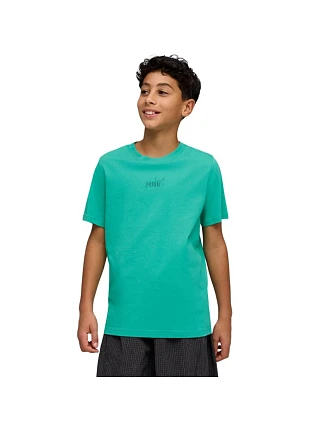 Puma ESS Small No.1 Logo Centered Tee green 692975 40