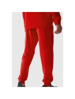 Kalhoty 4F CAS M451 M 4FAW23TTROM451-62S