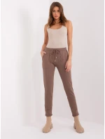 Tepláky RV DR 8692.21 hnědá Tepláky RV DR 8692.21 hnědá