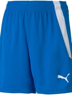 Puma teamLIGA Shorts Jr 704931 02
