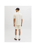 Jack&Jones pánské pruhované šortky JPSTJAIDEN COBA STRIPE JOG SHORTS REG SN 12274413 Antique White Stripes Jack&Jones pánské pruhované šortky JPSTJAIDEN COBA STRIPE JOG SHORTS REG SN 12274413 Antique White Stripes