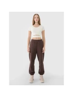 Dámské hladké tričko 4F 4FRSS25TTSHF2695-11S