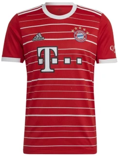 Tričko adidas FC Bayern H Jsy M H39900 pánské