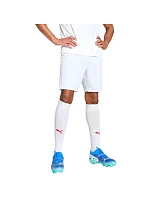 Puma Team Goal pánské šortky bílé 705752 04