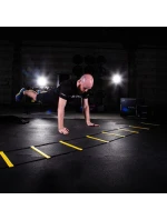 Koordinační žebřík 6m HMS Premium DK06