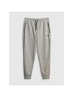 Pánské tepláky typu jogger 4F 4FRMM00TTROM2020-27M