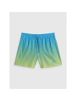 Pánské plážové boardshortky 4F 4FWSS26UBDSM168-33S