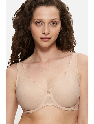 Soft model 229985 Triumph