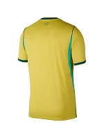Pánský dres Nike Brazil 2026 Stadium Home yellow IF7054 724 pánské