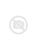 gUMBIES ISLANDER CANVAS FLIP--FLOPS Dámské žabky PINK HIBISCUS gUMBIES ISLANDER CANVAS FLIP--FLOPS Dámské žabky PINK HIBISCUS