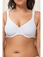 Soft model 229349 Triumph