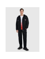 Pánské tričko s potiskem 4F 4FRAW25TTSHM3226-62S