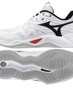 Boty Mizuno WAVE MOMENTUM PRO V1GA254059