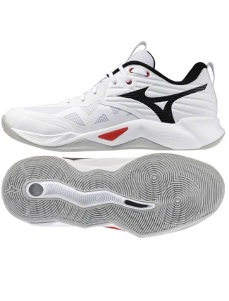 Boty Mizuno WAVE MOMENTUM PRO V1GA254059