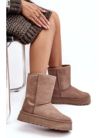 Dámské zimní boty s vystýlkou tmavě béžové Abrams