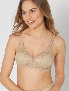 Soft model 230075 Triumph