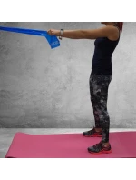 FITNESS GUMA PROFIT LONG MEDIUM 200x15x0,45cm modrá DK 2227