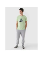 Pánské tričko s potiskem 4F 4FRAW24TTSHM2301-41S pánské