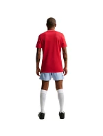 Pánské tričko Nike Dri-Fit Park 26 SS Top červené HM7127 657 pánské