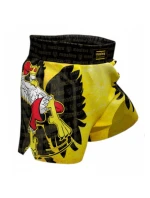 Tréninkové šortky JUNIOR MFC "EAGLE"