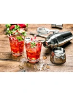 BARMANSKÁ SADA 5 KUSŮ ŠEJKRŮ NA NÁPOJE ALPINA