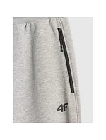 Pánské tepláky typu jogger 4F 4FRMM00TTROM2020-27M
