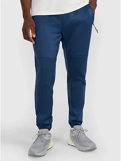 Pánské rychleschnoucí tréninkové kalhoty 4F 4FWAW25TFTRM0888-27S