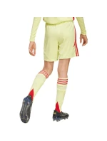 Dětské šortky adidas Tiro 24 žluto-červené JC6206